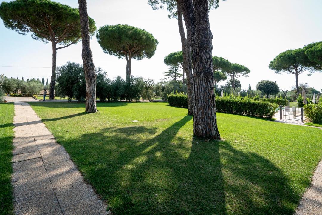 Photo of Others in Piombino