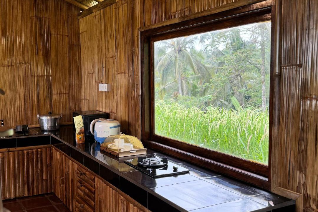 Photo of Kitchen in Selemadeg