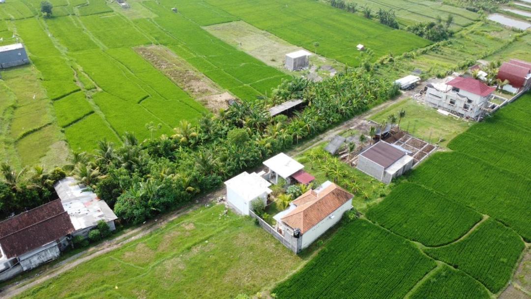 Photo of Others in Mendoyo