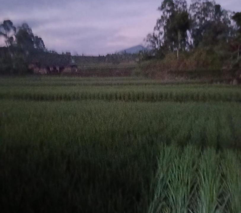 Photo of Others in Ciwidey