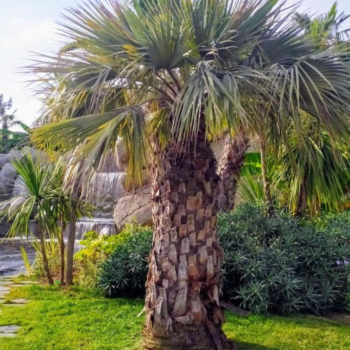 Photo of Outdoor in Saint-Sylvestre
