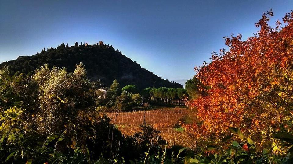 Photo of Others in Manciano