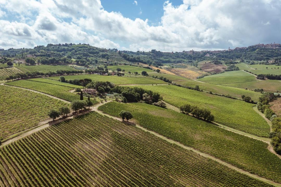 Photo of Others in Montepulciano