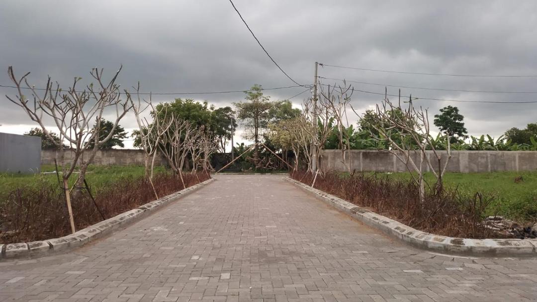 Photo of Others in Depok