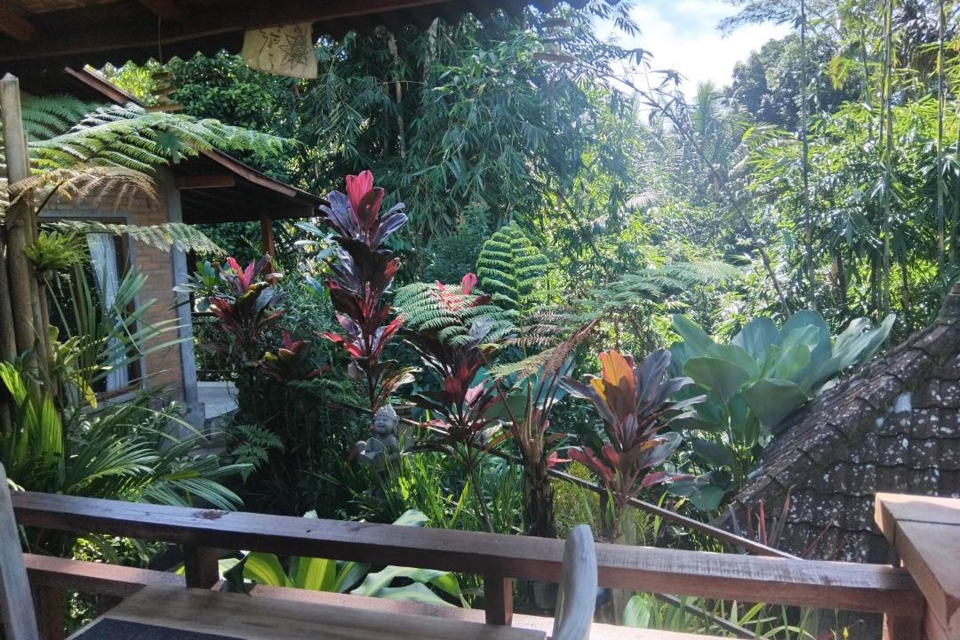 Photo of Others in Tegallalang