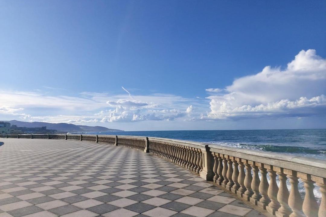 Photo of Others in Livorno