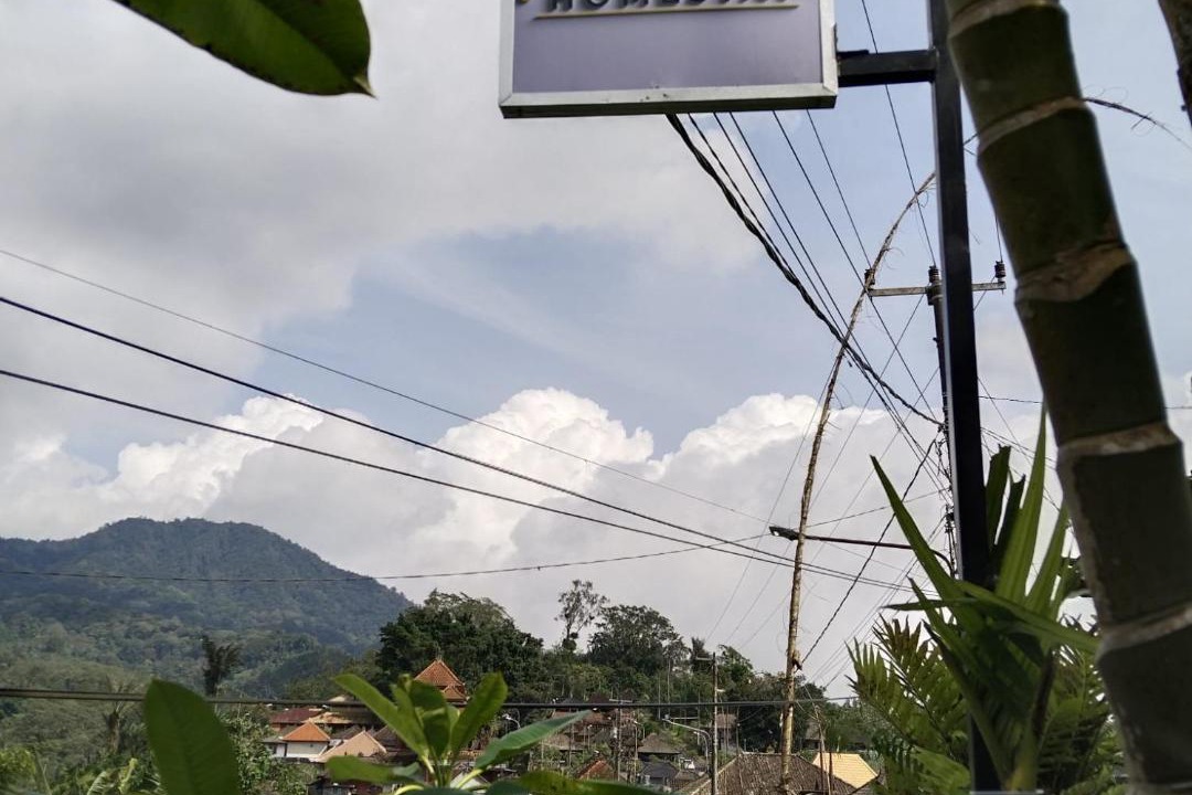 Photo of Others in Pelaga
