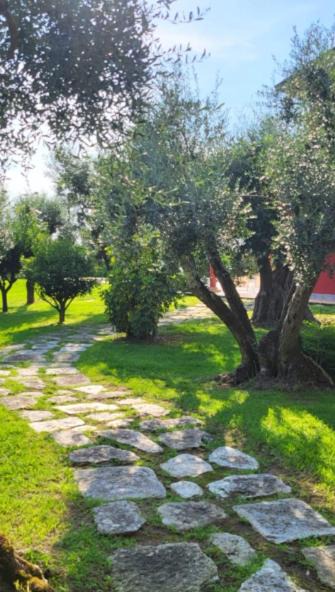 Photo of Outdoor in Pietrasanta