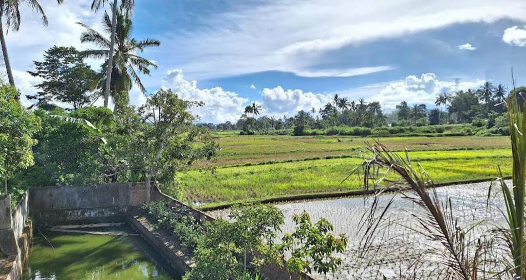 Photo of Others in Sumatra