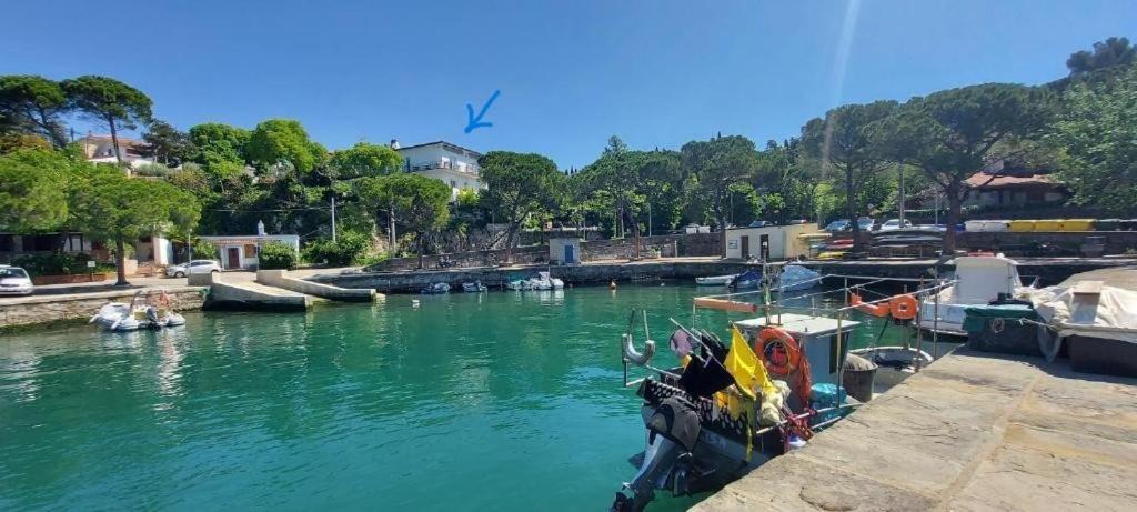 Photo of Others in Duino