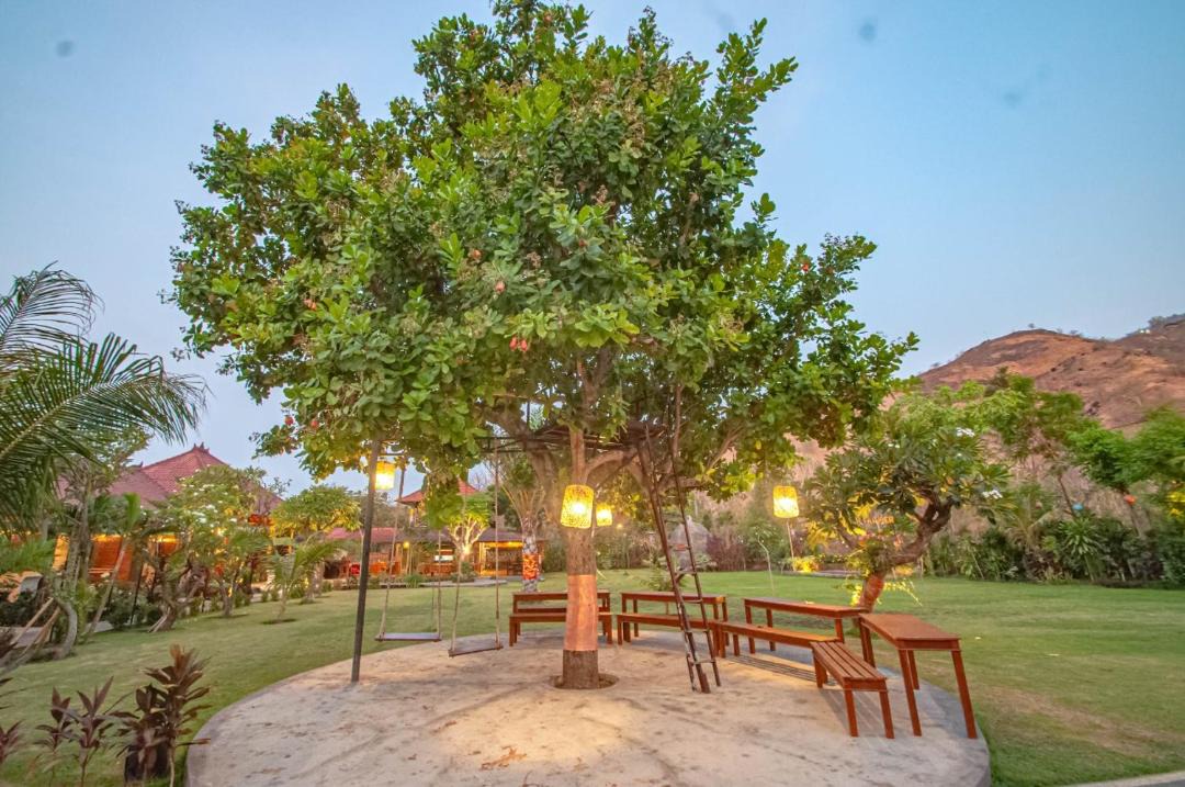 Photo of Outdoor in Pemuteran