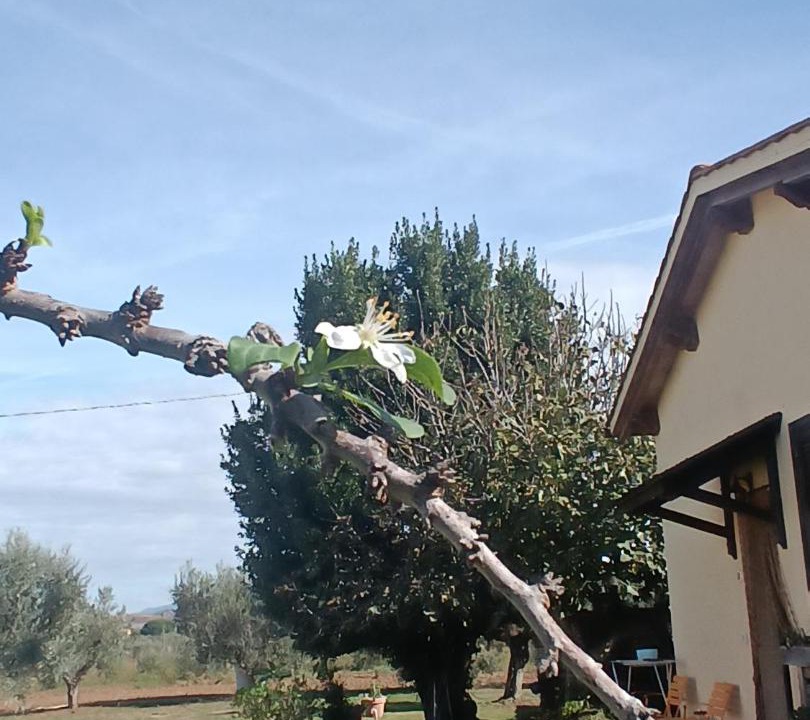 Photo of Others in Grosseto