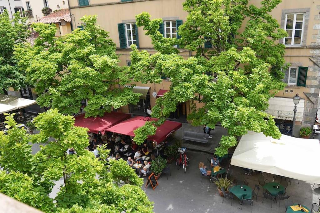 Photo of Others in Lucca Historical Center