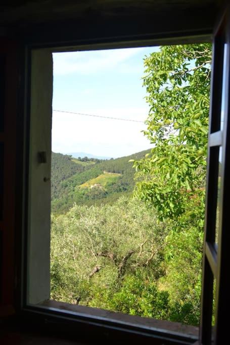 Photo of Others in Vicopisano