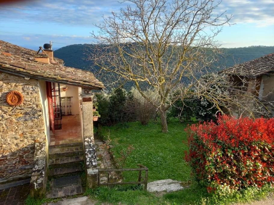 Photo of Others in Vicopisano