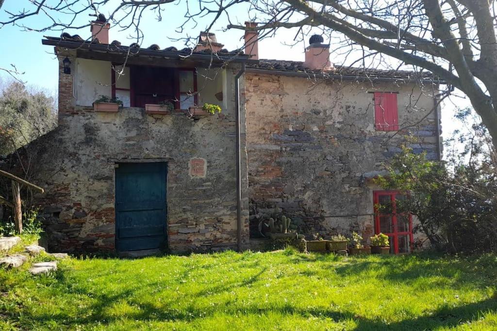 Photo of Others in Vicopisano