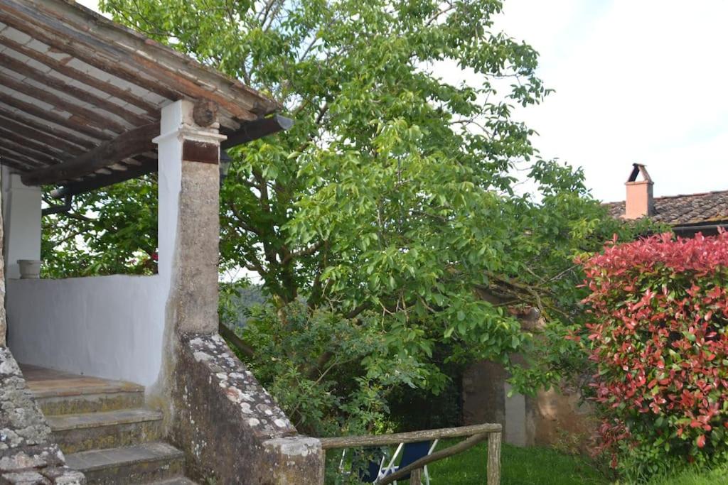 Photo of Others in Vicopisano