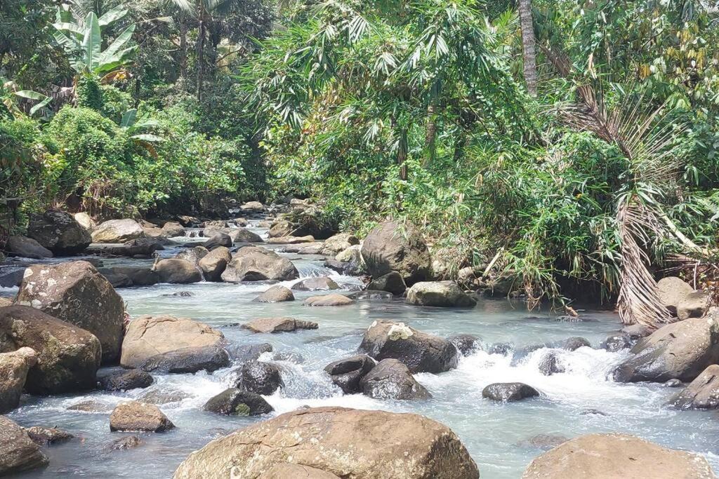 Photo of Outdoor in East Selemadeg