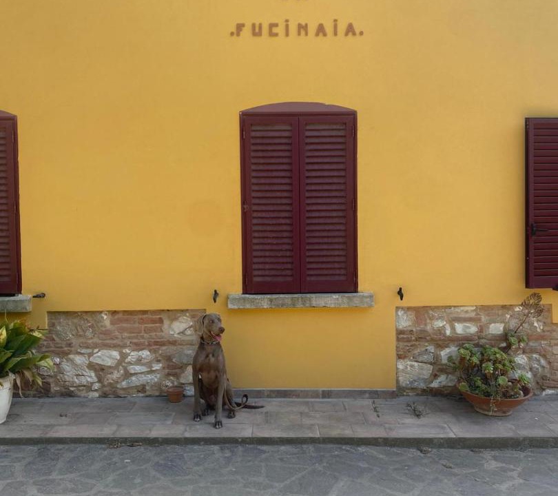 Photo of Others in Campiglia Marittima