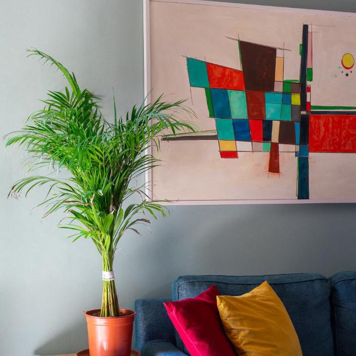 Photo of Livingroom in Montecatini Alto