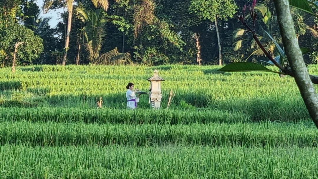 Photo of Others in Kerambitan