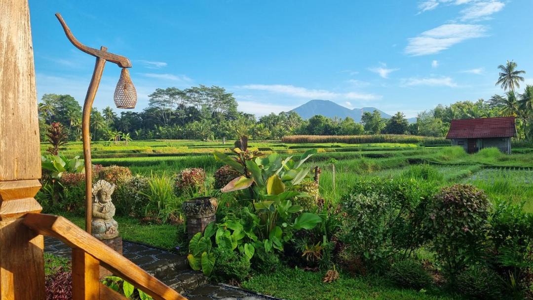 Photo of Others in Kerambitan