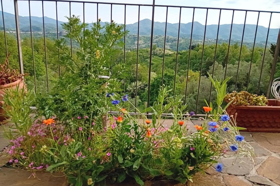 Photo of Others in Maglietola