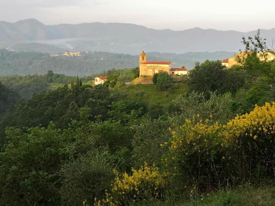 Photo of Others in Maglietola