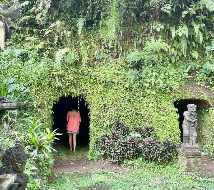 Photo of Others in Taro