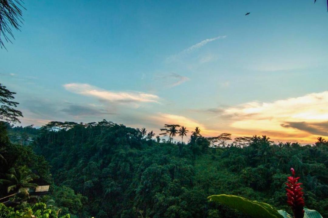 Photo of Others in Melayang