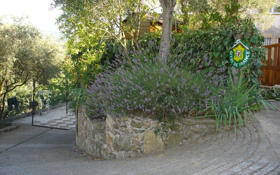 Photo of Others in Tanneron