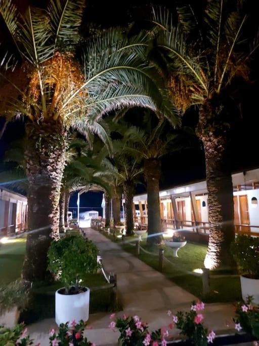 Photo of Others in Lido di Camaiore