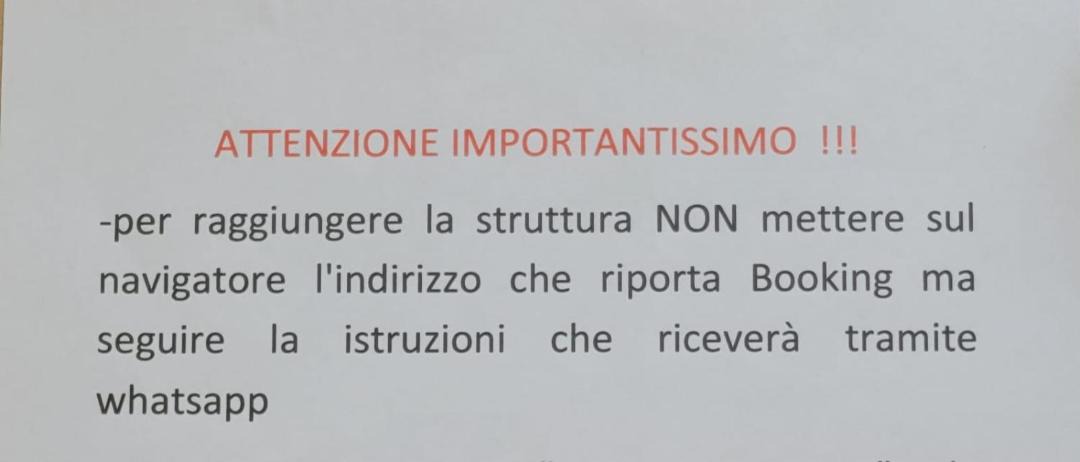 Photo of Others in Pietrasanta