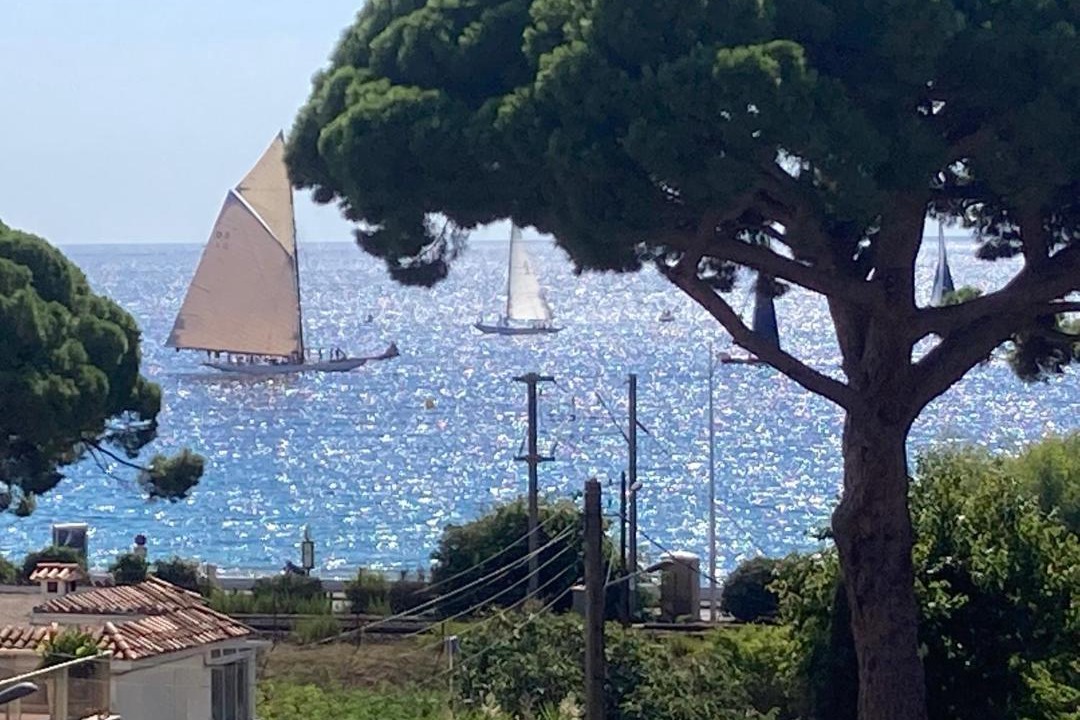Photo of Others in Cannes La Bocca