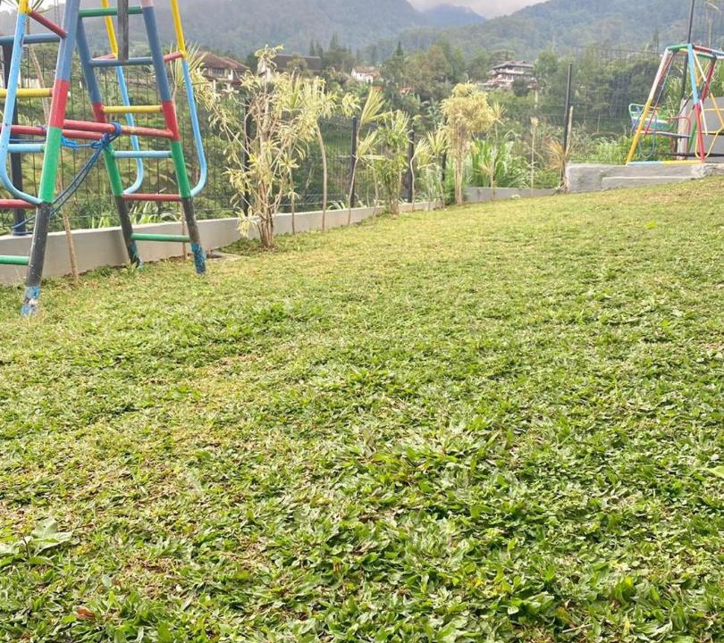 Photo of Outdoor in Ciloto