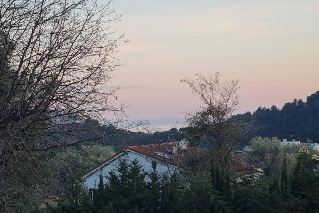 Photo of Others in Vence