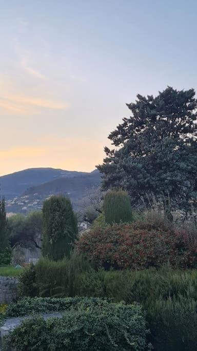 Photo of Others in Vence
