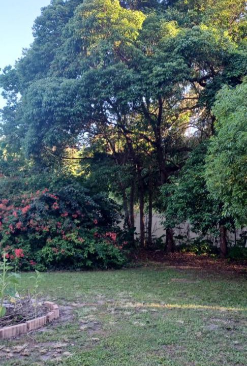 Photo of Outdoor in Groveland