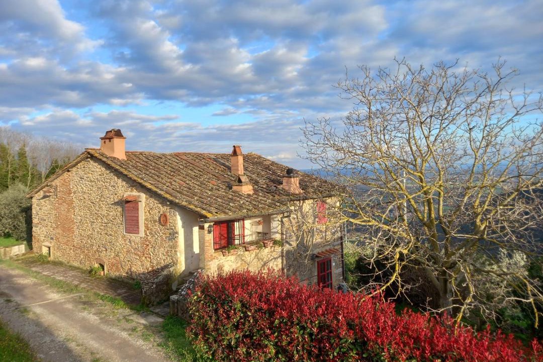 Photo of Others in Vicopisano
