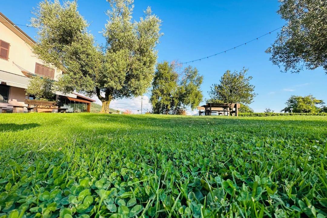 Photo of Others in Podenzana