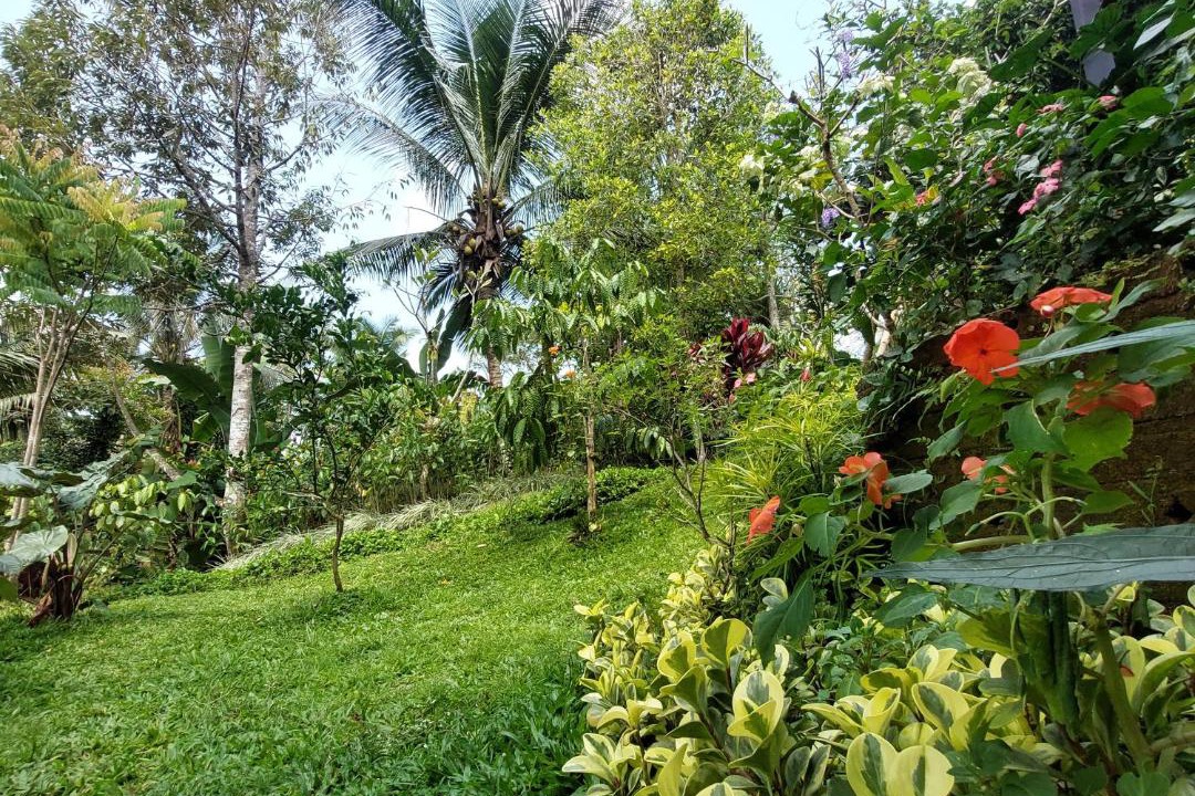 Photo of Others in East Selemadeg