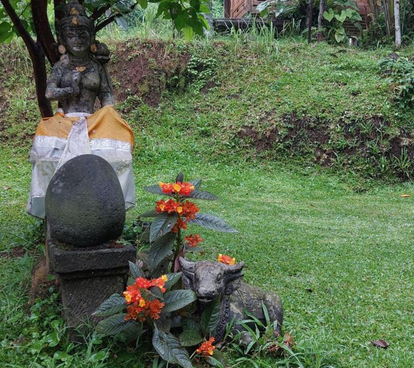 Photo of Others in Tegallalang