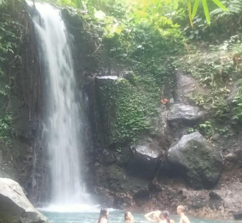 Photo of Others in East Selemadeg