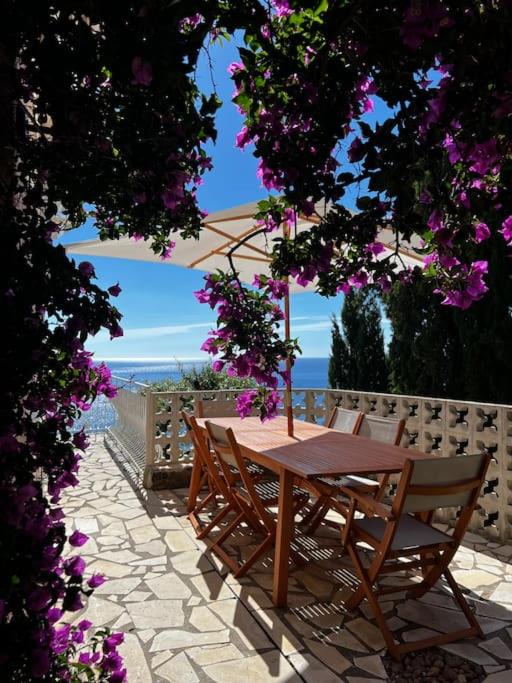Photo of Patio Balcony in Antheor