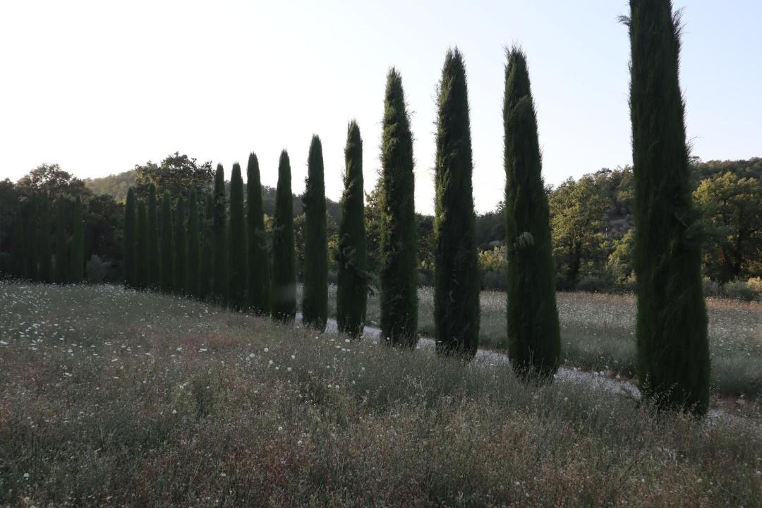 Photo of Others in Montefollonico