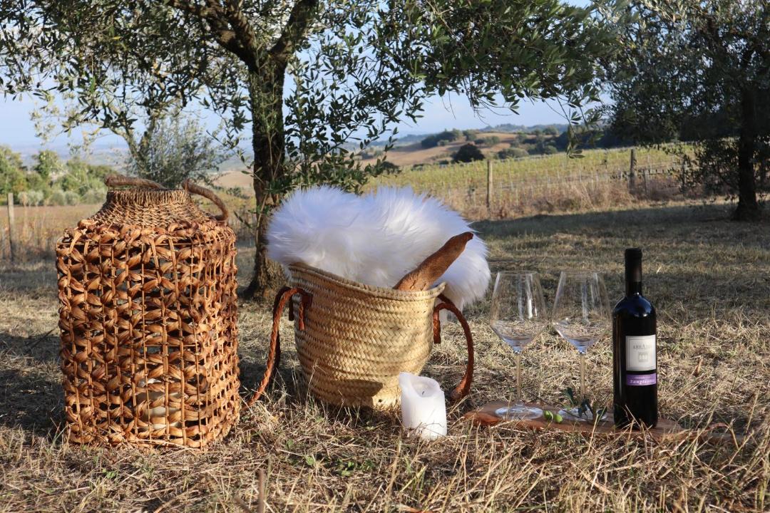 Photo of Others in Montefollonico