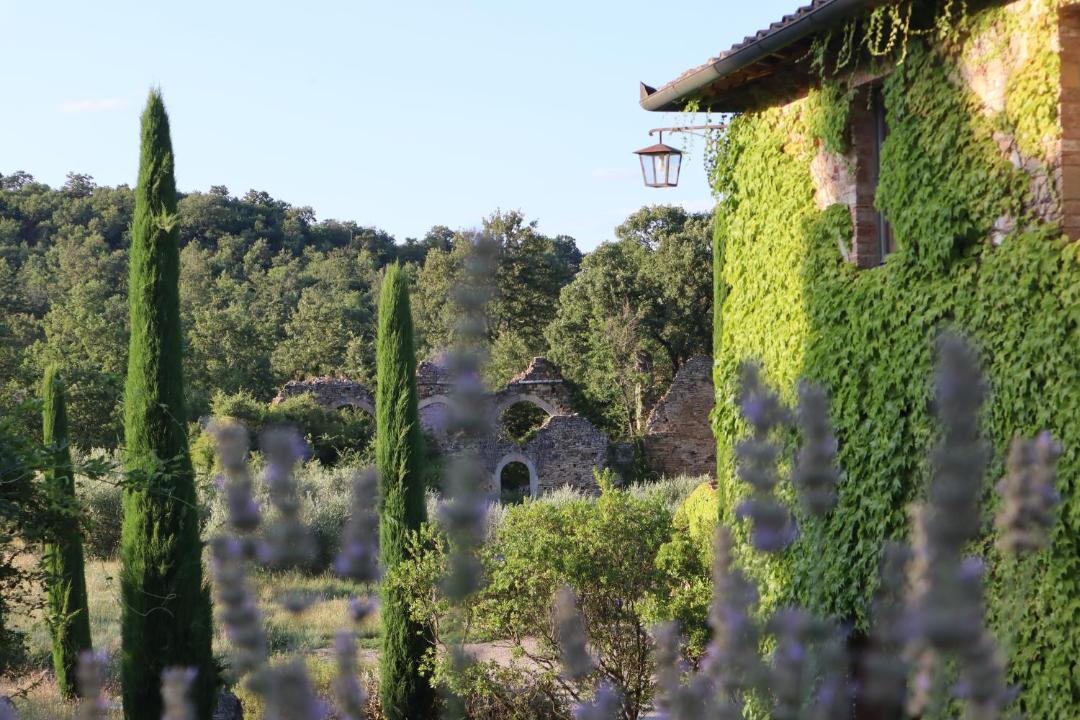Photo of Others in Montefollonico