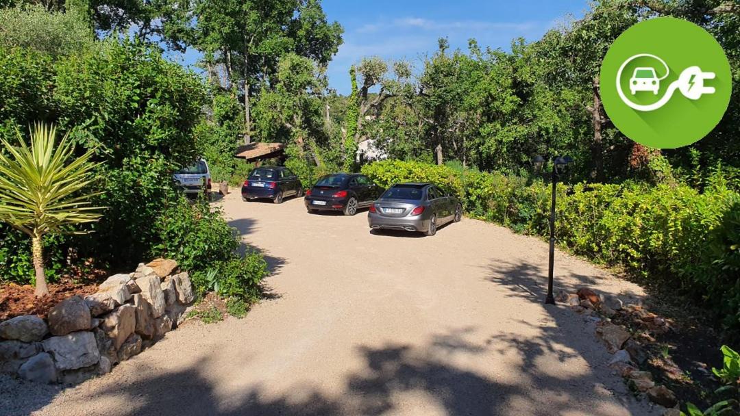 Photo of Outdoor in Cabris