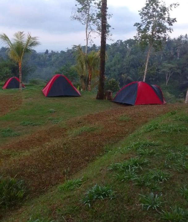 Photo of Others in Taro
