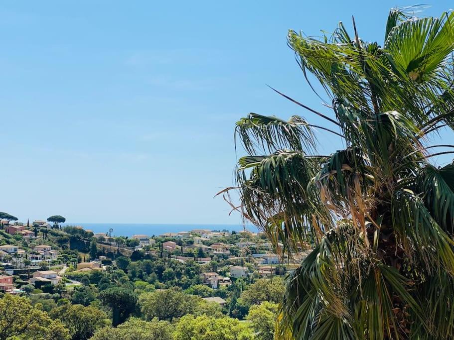 Photo of Others in Sainte-Maxime